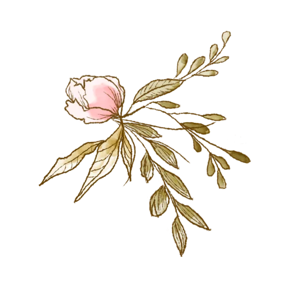 Decoration-05.png